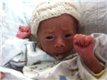 老三“妞妞”